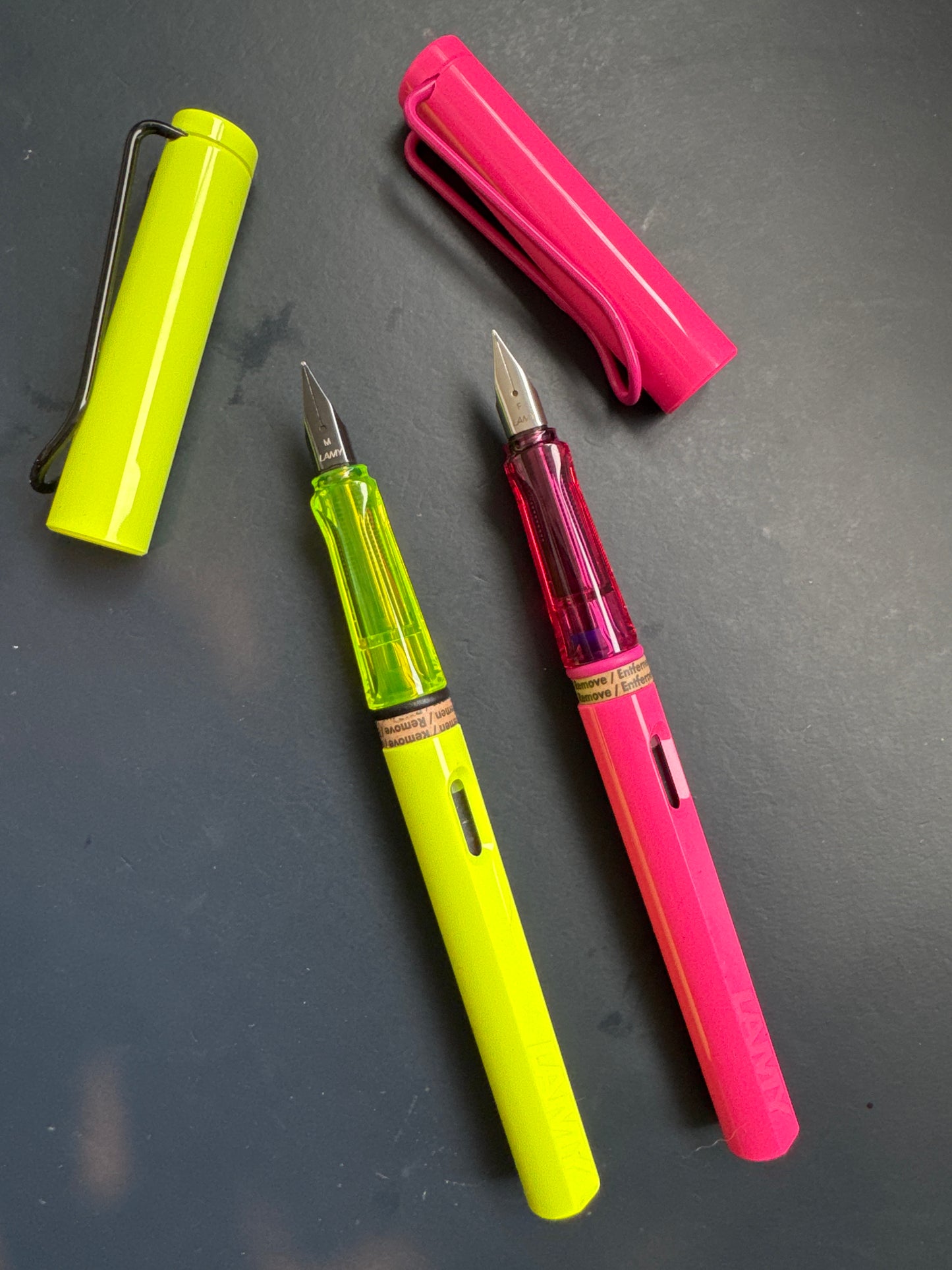 Lamy Safari Fountain Pen Special Edition