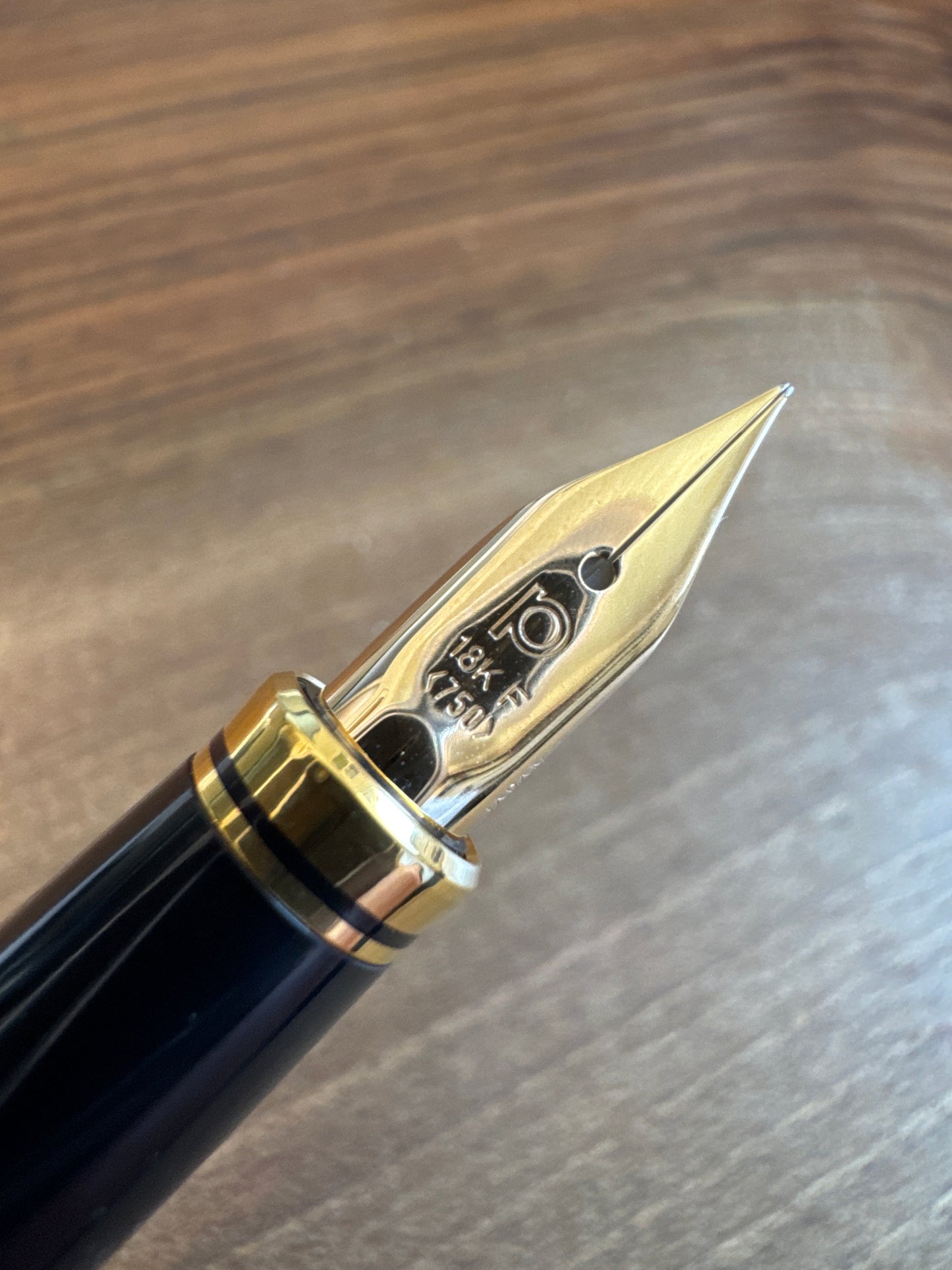 Platinum Kanazawa Fountain Pen Goldfish