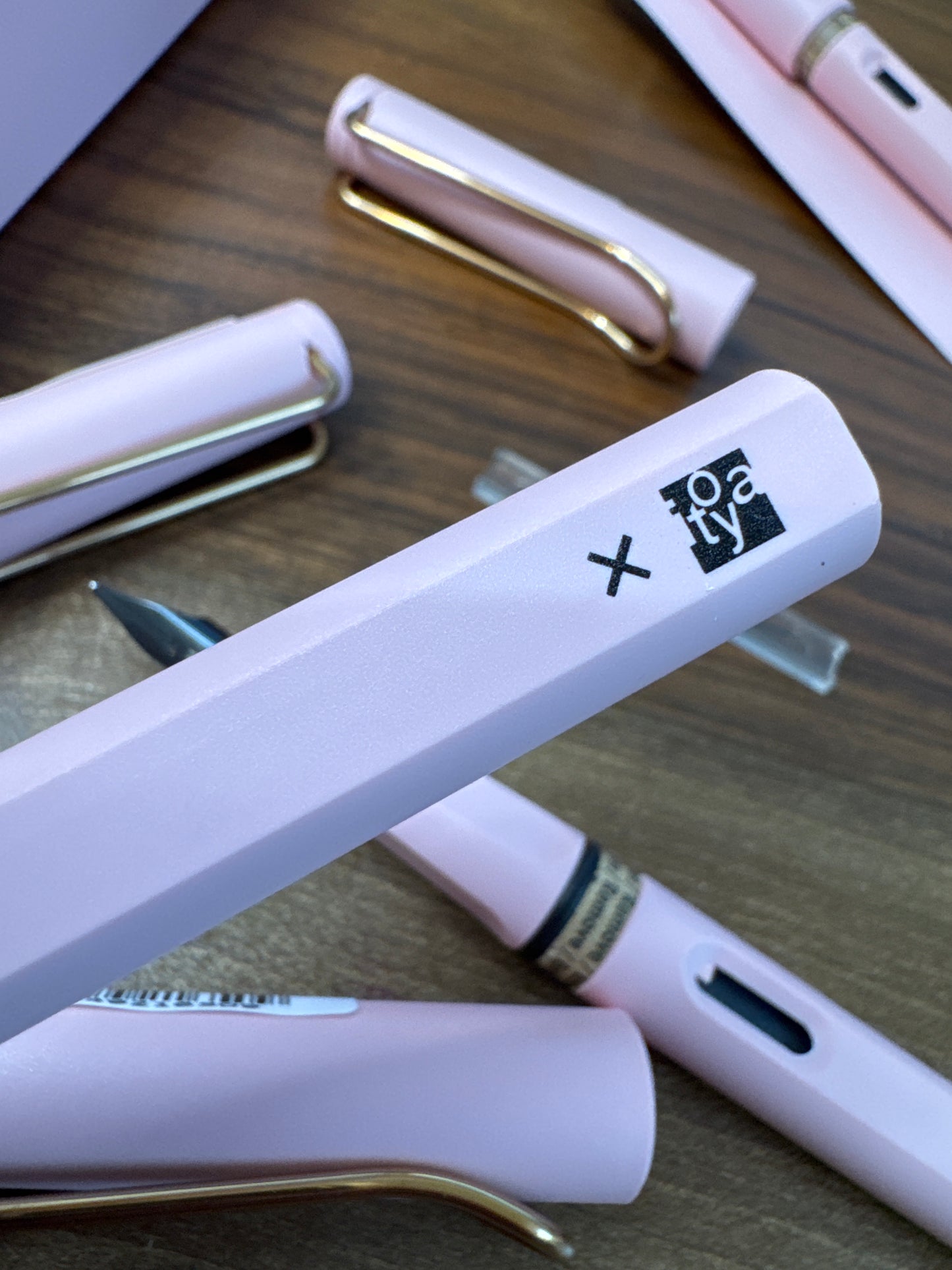 Lamy x Itoya Safari Copper 03