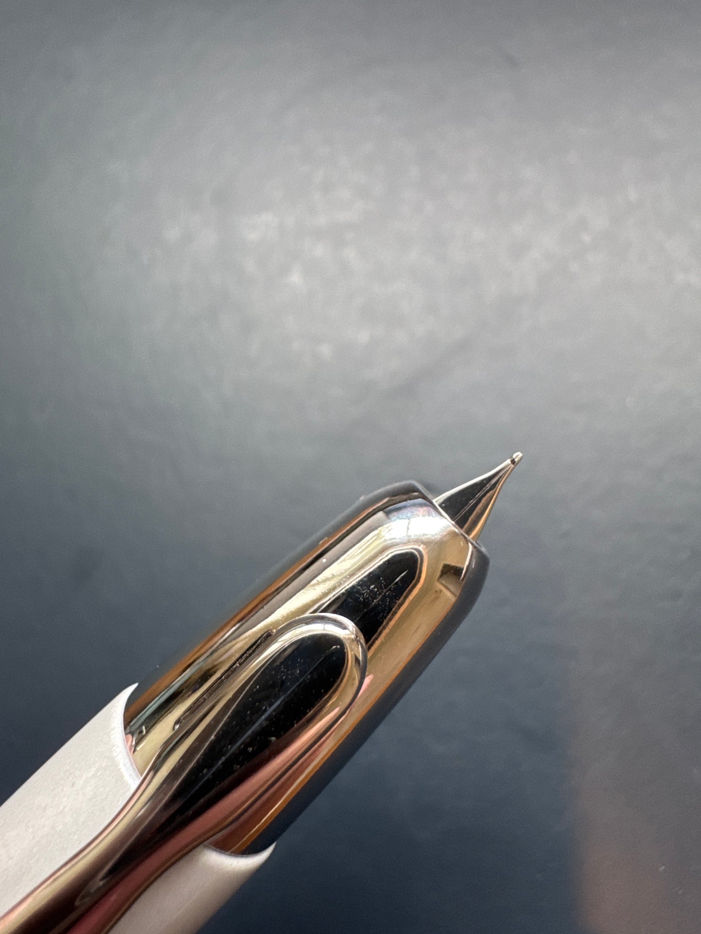 Pilot X Kobayashi Capless Clematis Fountain Pen Fine Nib