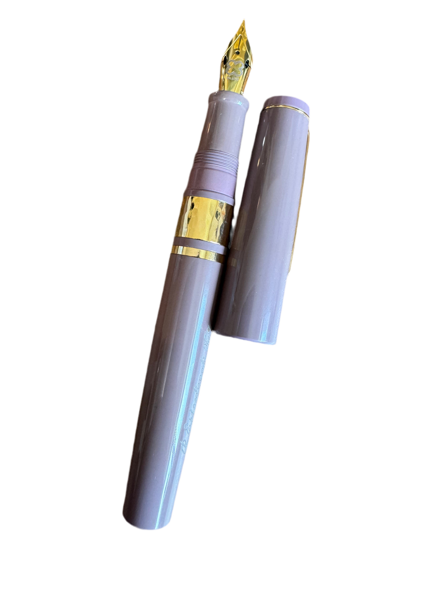 Esterbrook Model J Fountain Pen Violet with Gold Trim/Fine Flex Nib