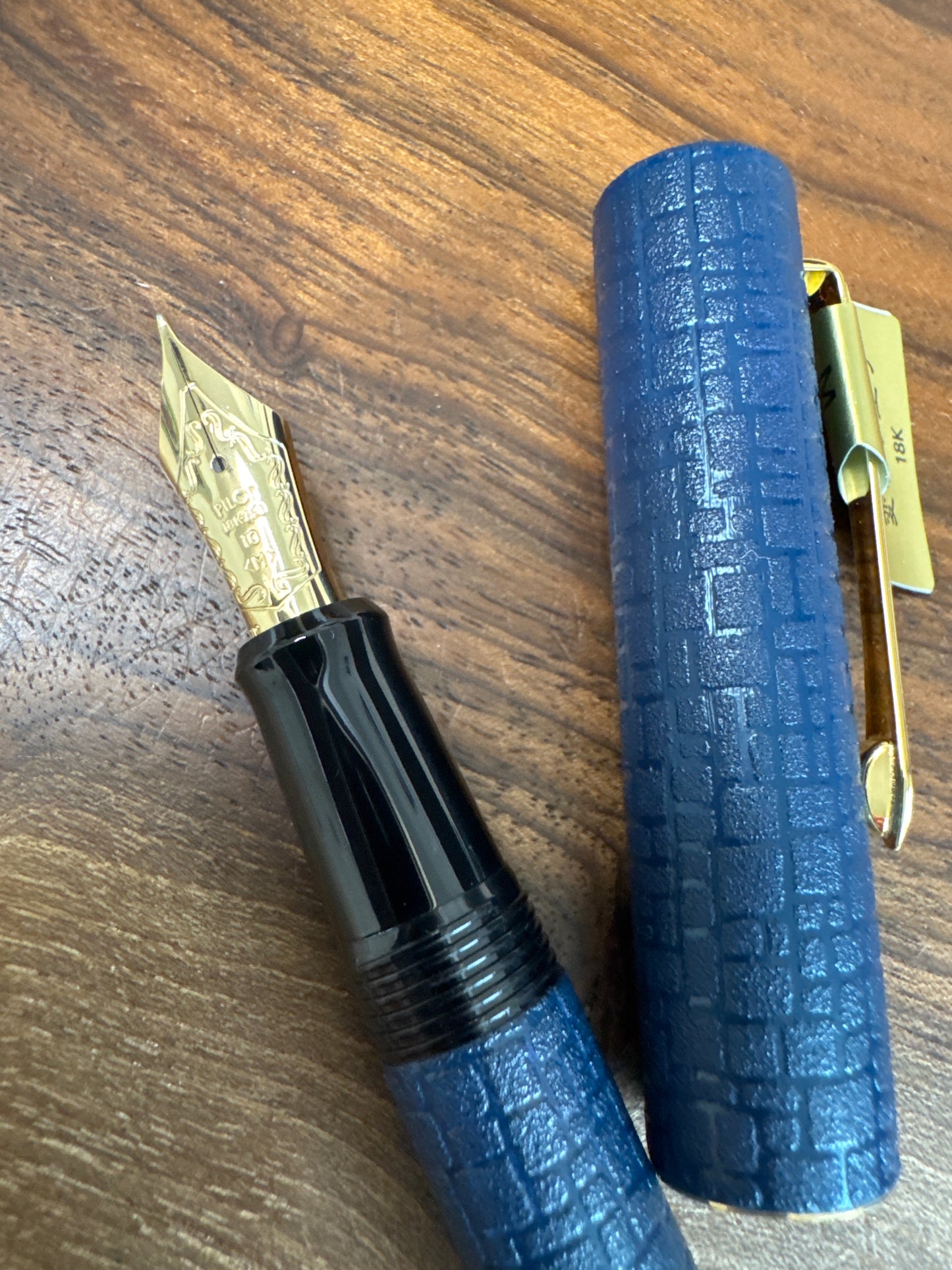 Pilot Ishime Fountain Pen Fine Nib