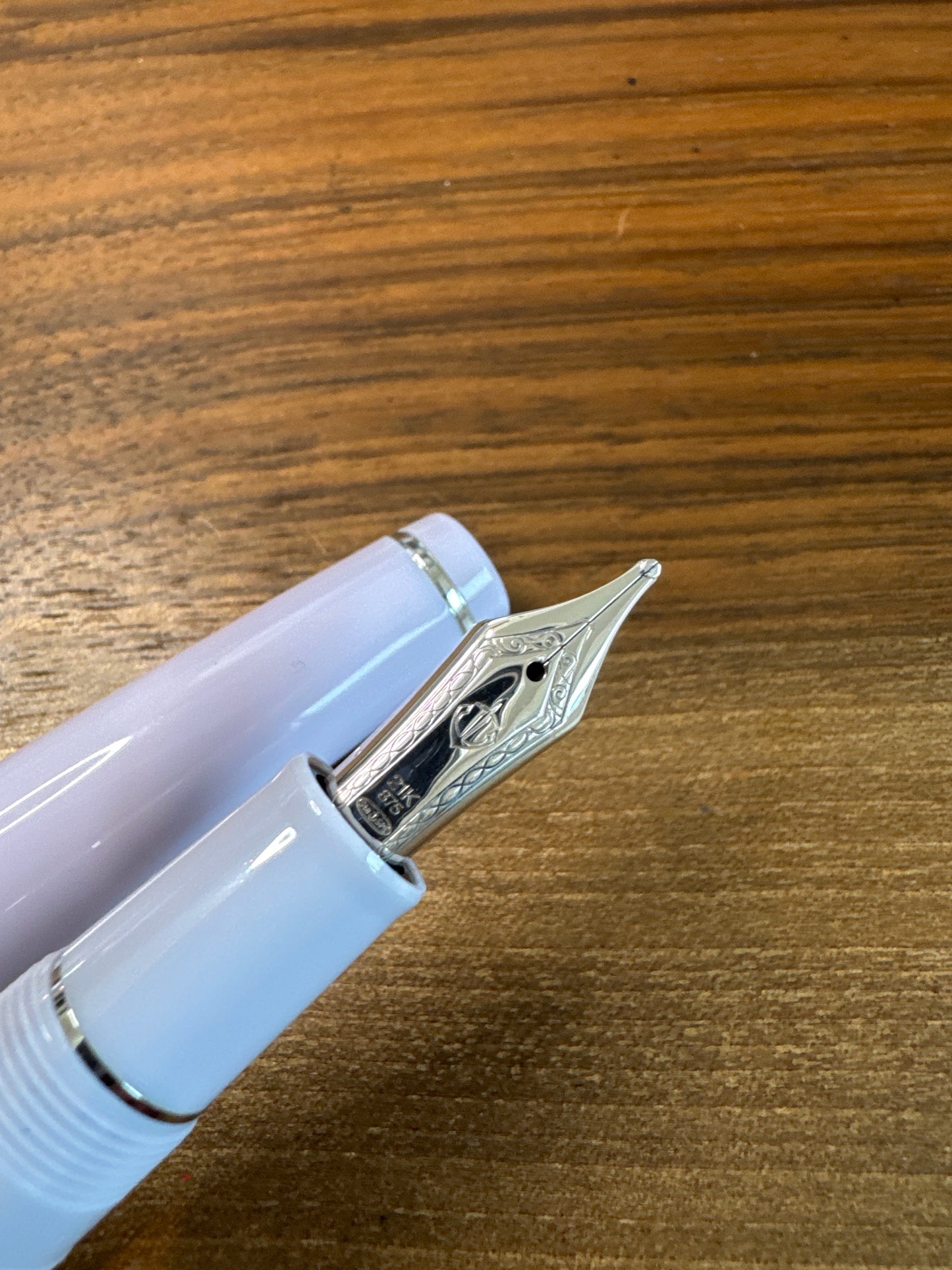 Sailor Professional Gear Fountain Pen The Pillow Book #3 Winter Sky ZOOM nib