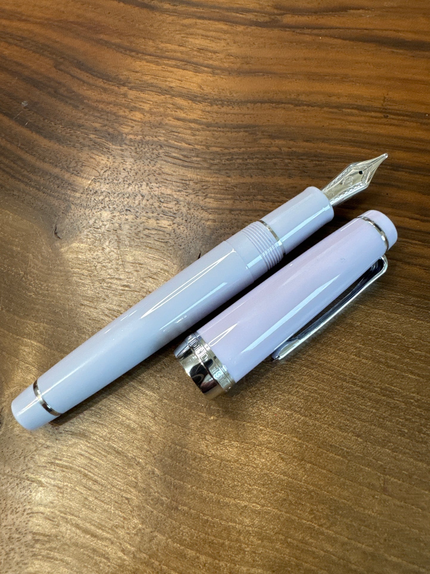 Sailor Professional Gear Fountain Pen The Pillow Book #3 Winter Sky ZOOM nib