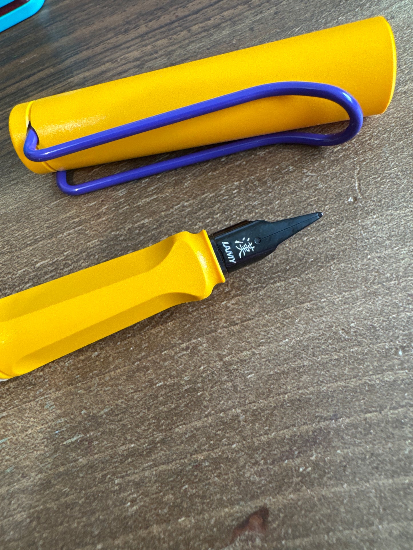 Lamy Safari Candy Fountain Pen UNUSUAL NIB SIZES