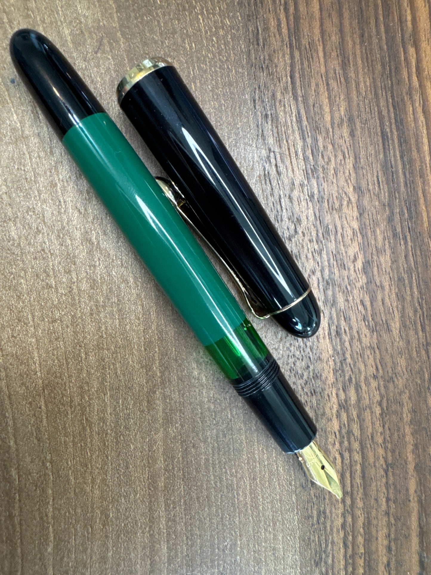 Pelikan 120 Green and Black Fountain Pen