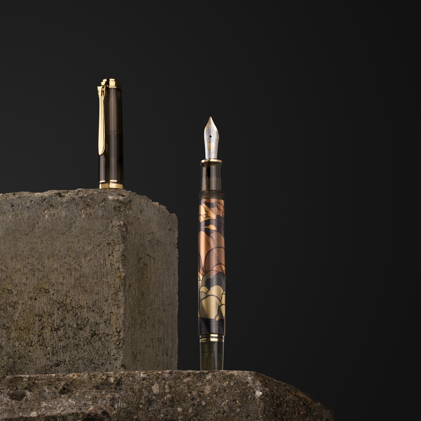Pelikan M600 Art Collection Georg Tippel