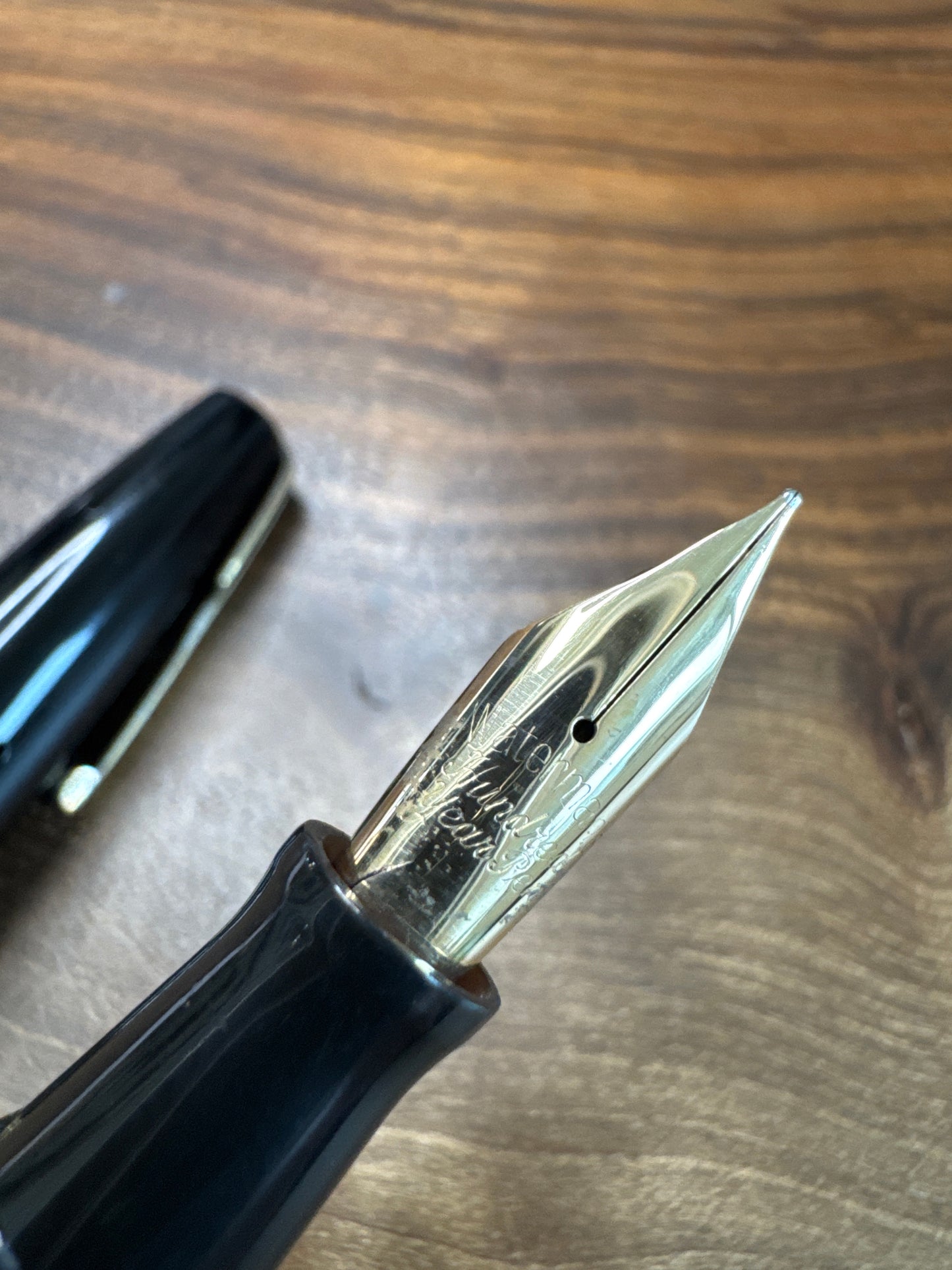 Watermans Hundred Year Pen Firm Medium Nib