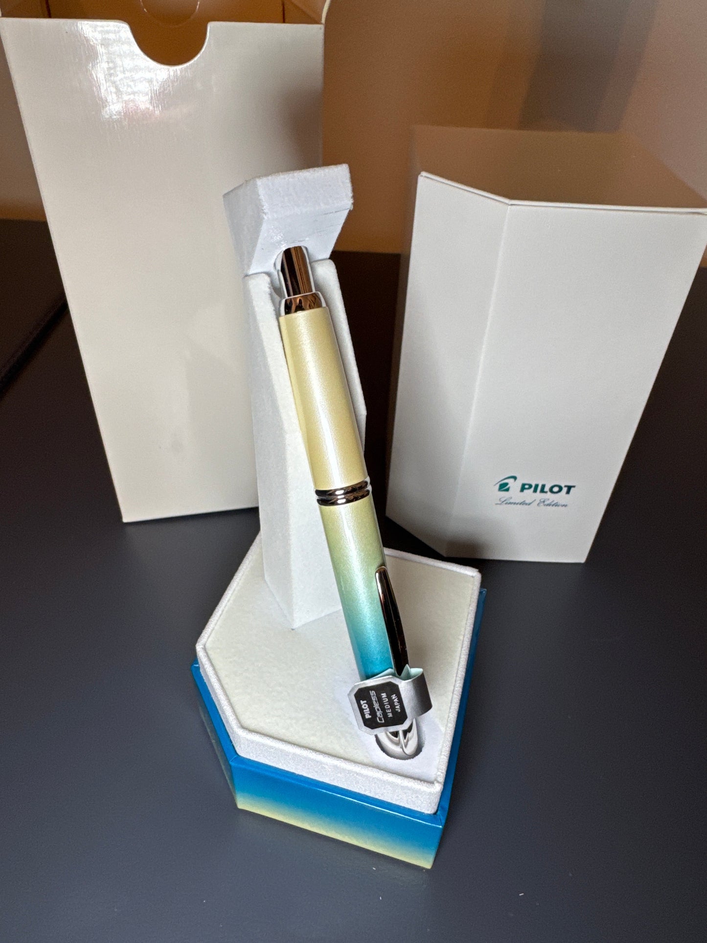 PIlot Limited edition seashore pen