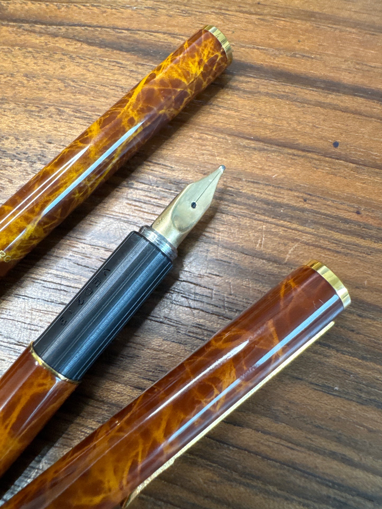 Aurora Hastil Tortoiseshell Fountain Pen and Ballpoint Pen Set