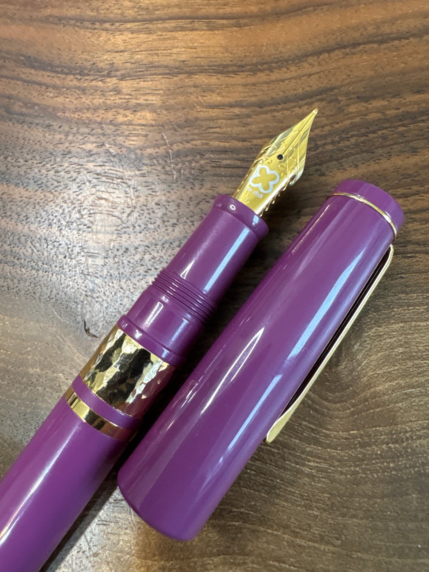 Esterbrook Blackberry Ebonite Fountain Pen Medium