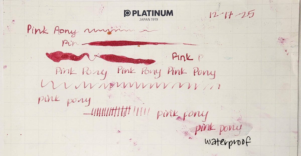 Push/Pull Fountain Pen Ink - Pink Pony