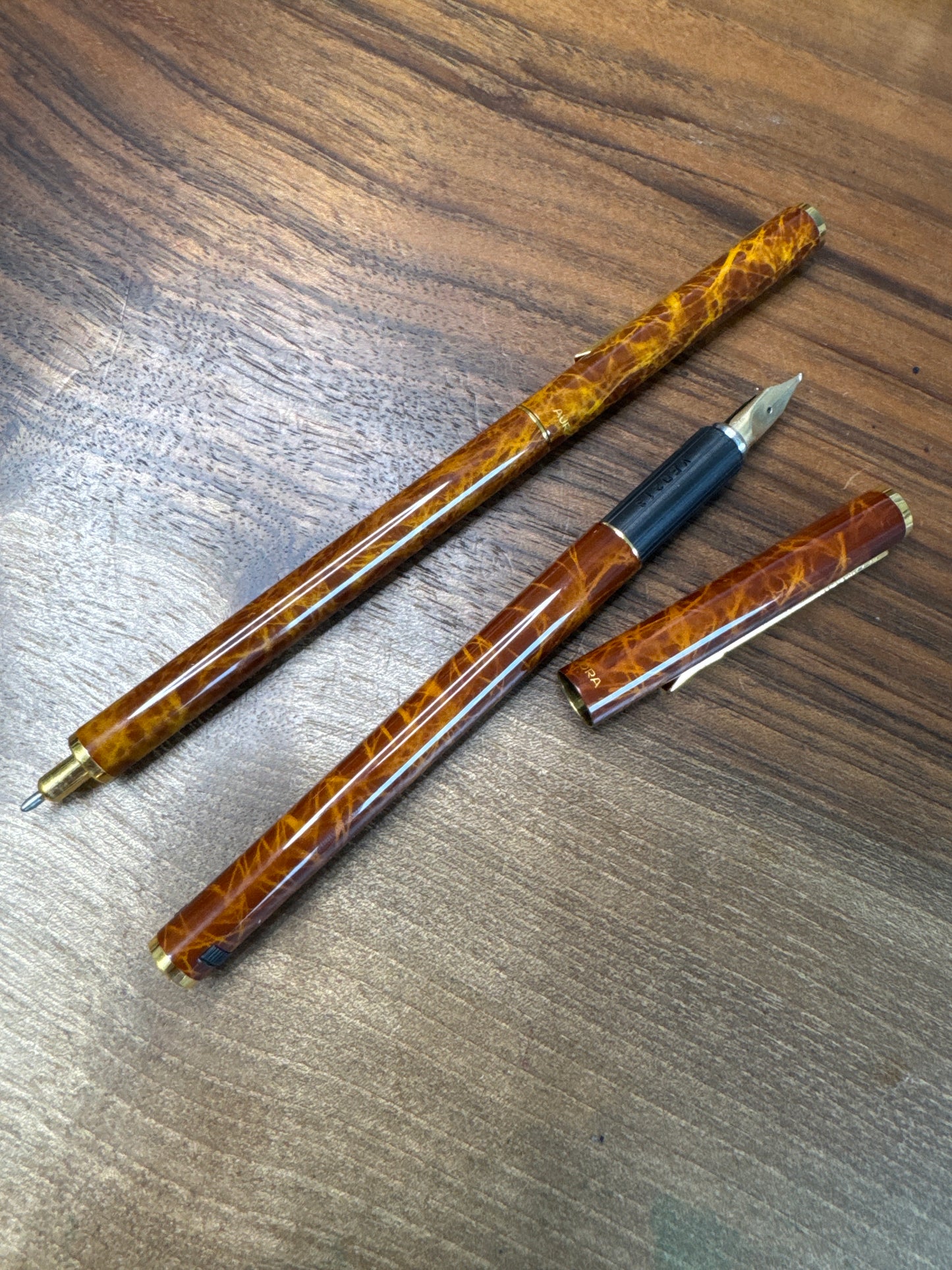 Aurora Hastil Tortoiseshell Fountain Pen and Ballpoint Pen Set