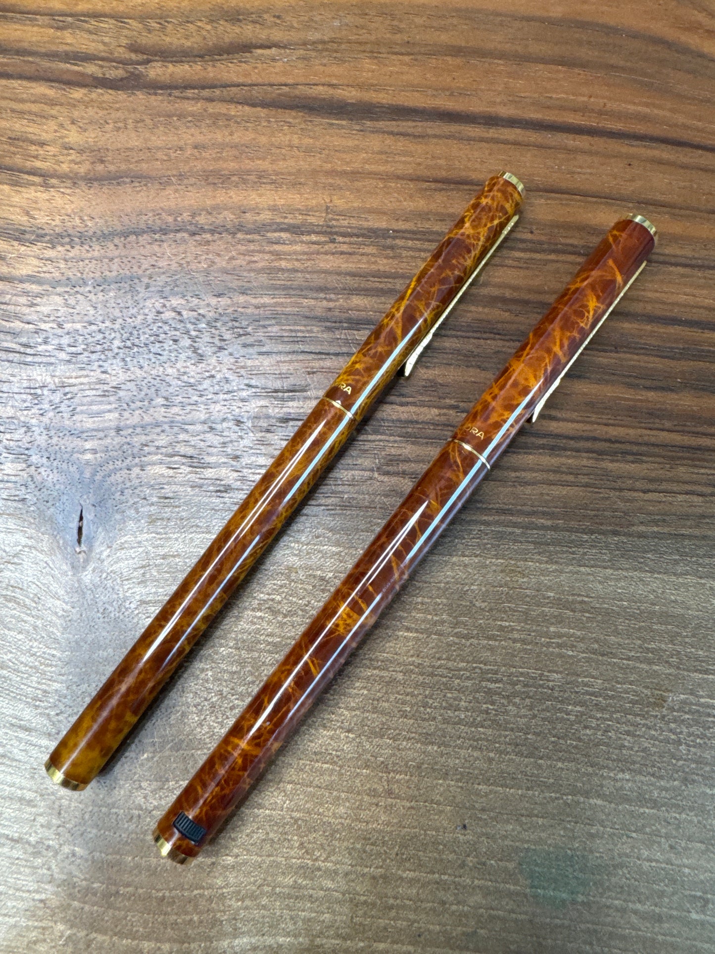 Aurora Hastil Tortoiseshell Fountain Pen and Ballpoint Pen Set