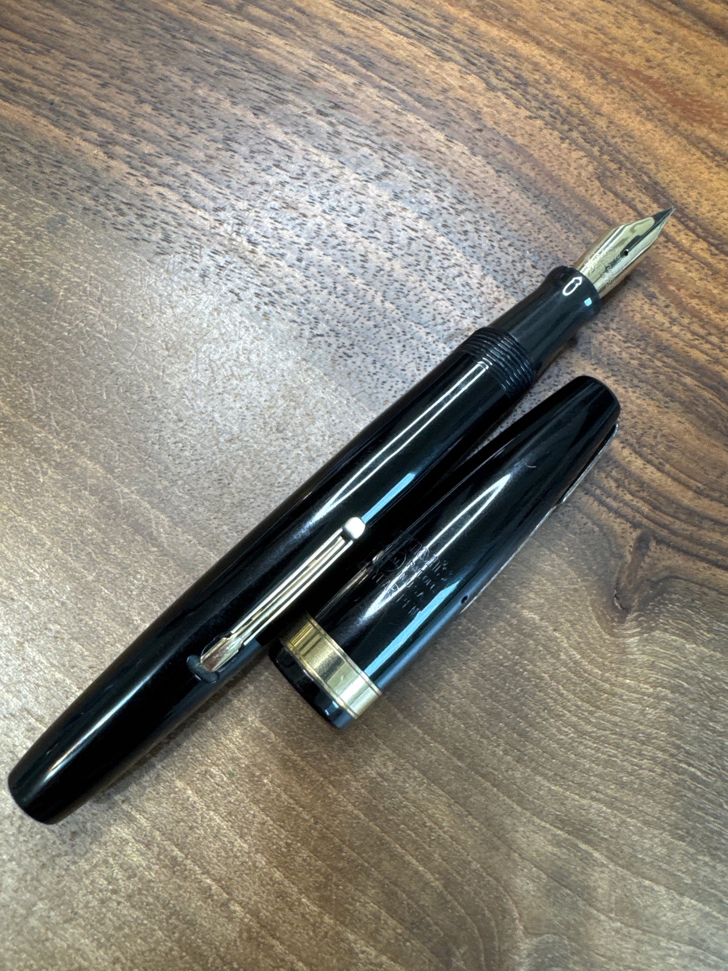 Watermans Hundred Year Pen Firm Medium Nib
