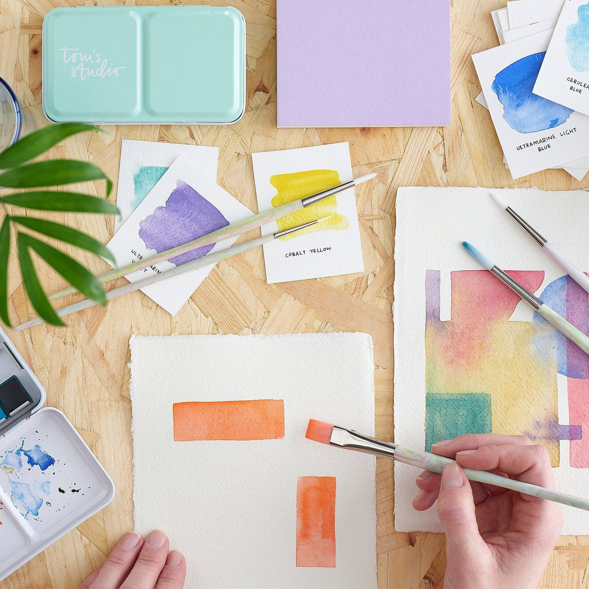 Tom's Studio Write Off Paintbrush set: Nimbus